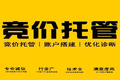 抖音信息流广告的投放策略与成功案例分析